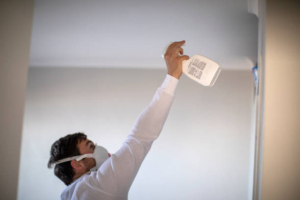 Best HVAC Mold Remediation in O, MI