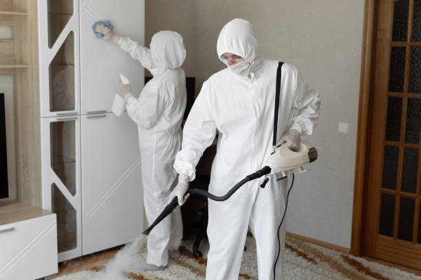 Best Post-Flood Mold Remediation in O, MI
