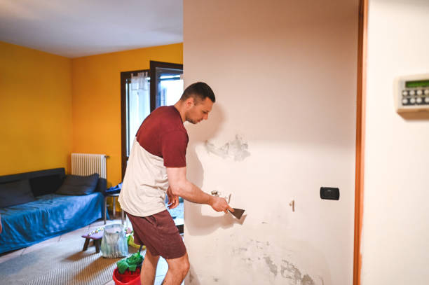 Best Crawl Space Mold Remediation in O, MI