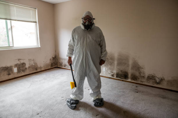 Best Industrial Mold Remediation in O, MI